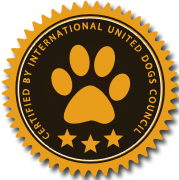 智能代码补全的永久免费轰炸